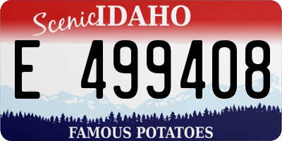 ID license plate E499408