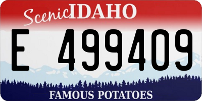 ID license plate E499409