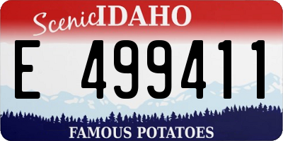 ID license plate E499411