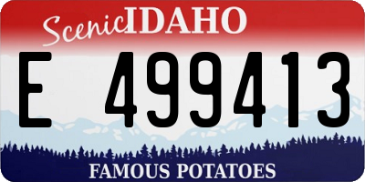 ID license plate E499413