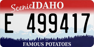 ID license plate E499417