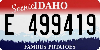 ID license plate E499419
