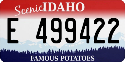 ID license plate E499422