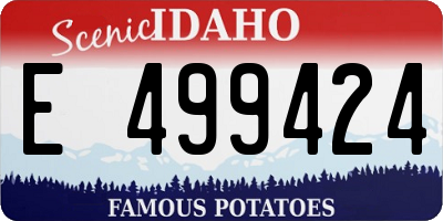 ID license plate E499424