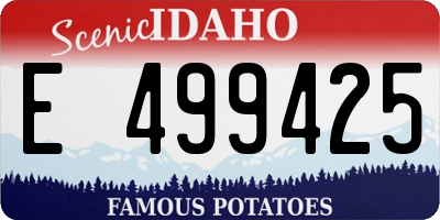 ID license plate E499425