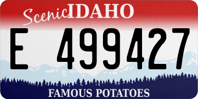 ID license plate E499427