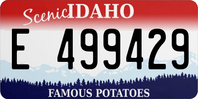 ID license plate E499429