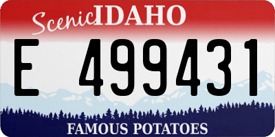 ID license plate E499431