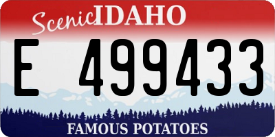 ID license plate E499433