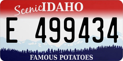 ID license plate E499434