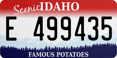 ID license plate E499435