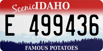 ID license plate E499436