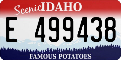 ID license plate E499438