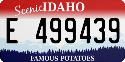 ID license plate E499439