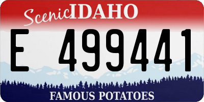 ID license plate E499441
