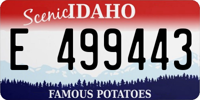 ID license plate E499443