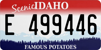 ID license plate E499446