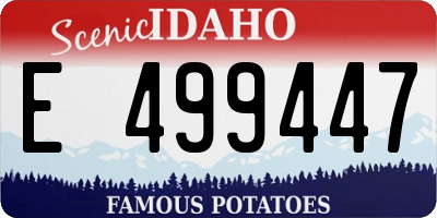 ID license plate E499447