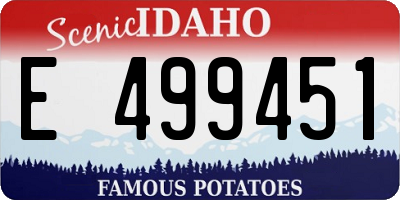 ID license plate E499451