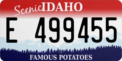 ID license plate E499455