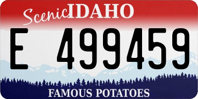 ID license plate E499459