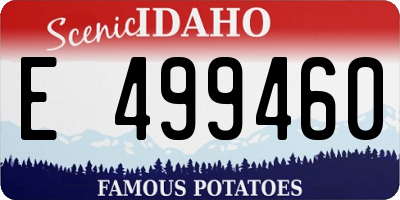 ID license plate E499460