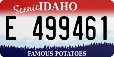 ID license plate E499461
