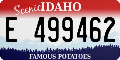 ID license plate E499462
