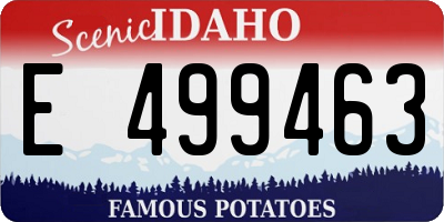 ID license plate E499463