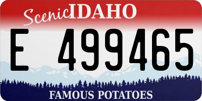 ID license plate E499465