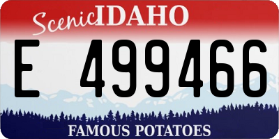 ID license plate E499466