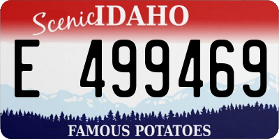 ID license plate E499469