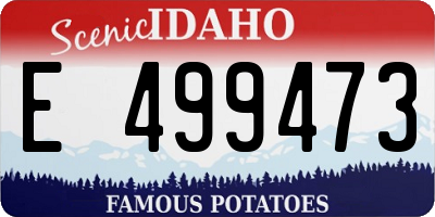 ID license plate E499473