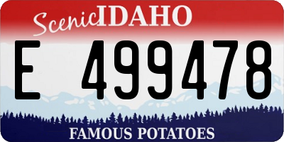 ID license plate E499478