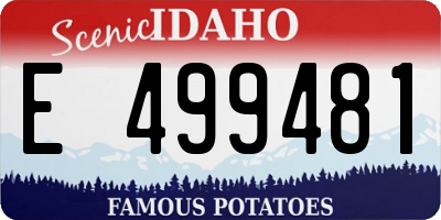 ID license plate E499481