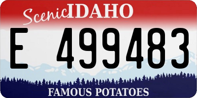 ID license plate E499483