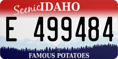 ID license plate E499484