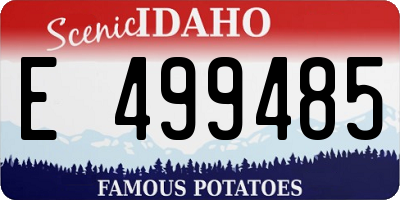 ID license plate E499485