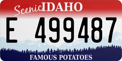 ID license plate E499487