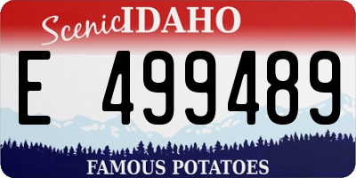 ID license plate E499489