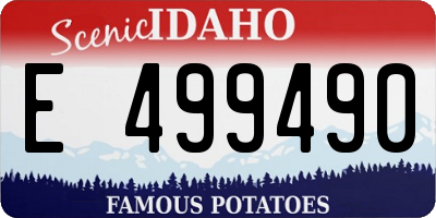 ID license plate E499490