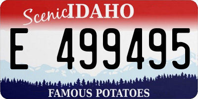 ID license plate E499495