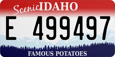 ID license plate E499497