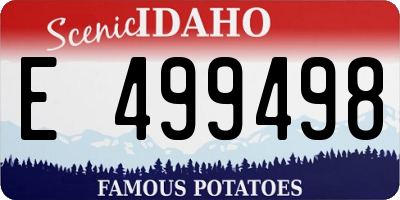 ID license plate E499498