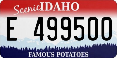 ID license plate E499500