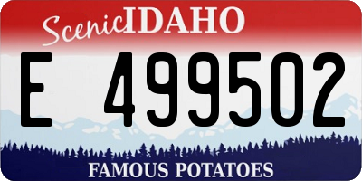 ID license plate E499502