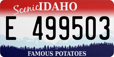ID license plate E499503