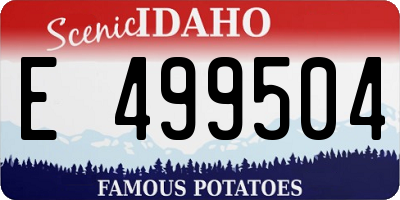 ID license plate E499504