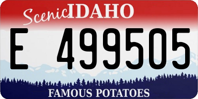 ID license plate E499505