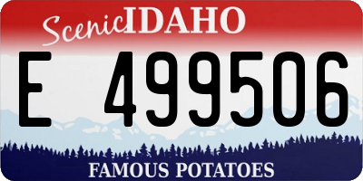 ID license plate E499506